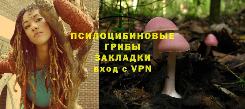 MEGA вход  Ковдор  Галлюциногенные грибы MAGIC MUSHROOMS 